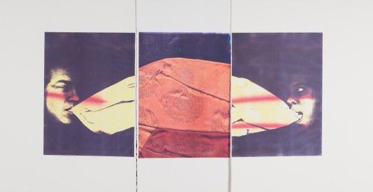 (1985) « No title », 1985, 142*76, light transfer print and spray