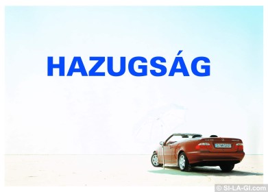 series of 12 pictures called Lie - Hazugság - C-print - 50x70 cm - 2002